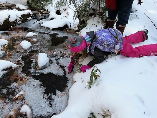 Investigating water