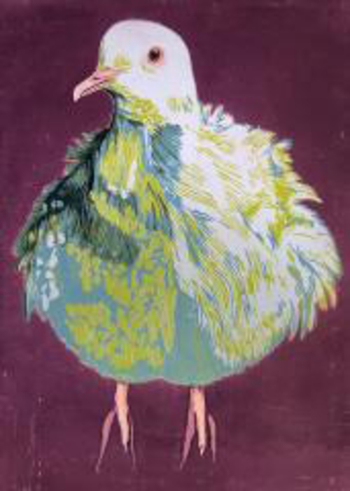 Cumulus dove