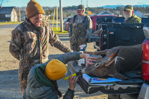 Hunters check in at a reporting station. Maria Gigliello