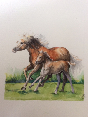 Cherie Keeler Moran’s work will be on exhibit through September. Moran works mostly in watercolor but will show other mediums in this exhibit.