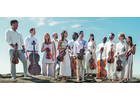 Members of the Palaver Strings’ Beehive Chamber Series